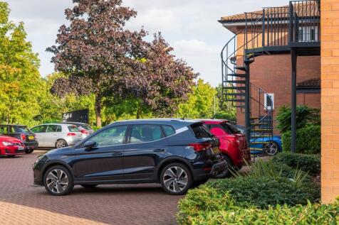 240909_0304_HOLLIS TIF 30060430637.jpg