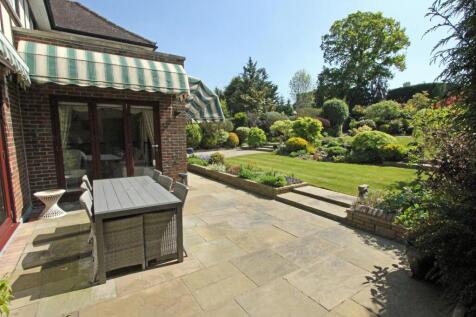 IMG_5110 patio garden.jpg