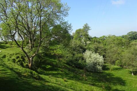 cherry blossom from down slope.jpeg
