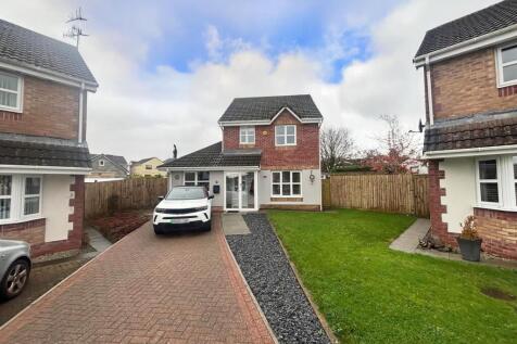 IMG-20251112-WA0006 copy 2.jpg