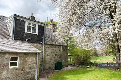 Back Garden