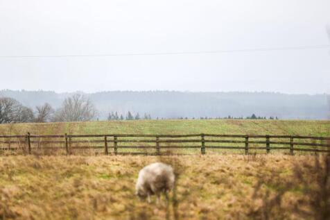 Countryside View