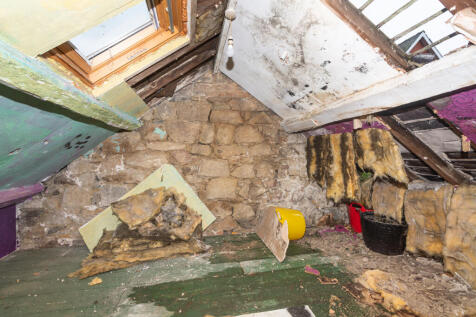 DSC 7475-1 T202602221651.jpg