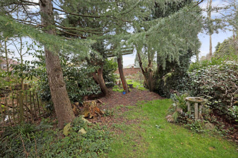 garden three.JPG