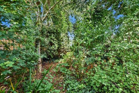 Rear Garden.JPG