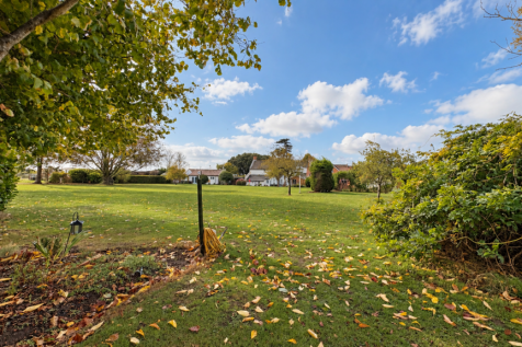 Sunlit autumn garden with blue skies-1