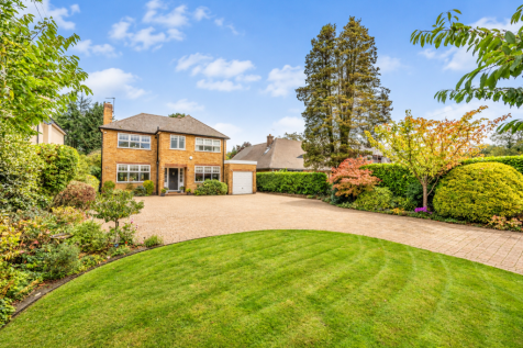Property Image 36