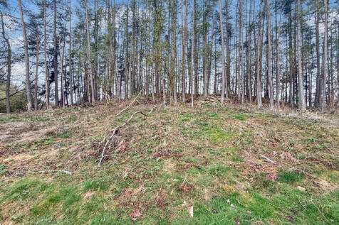 167391_2025041511...