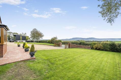 Side garden view.jpg