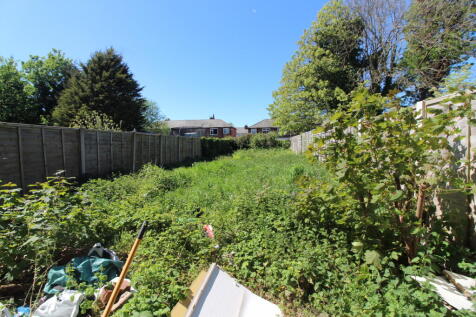 Garden T202604301503.jpg
