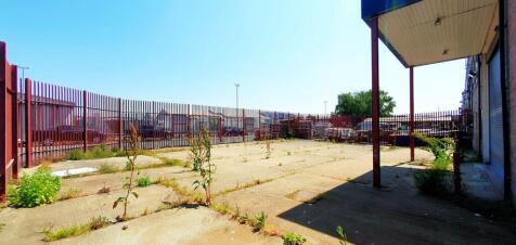 20230609_125031  Edited.jpg