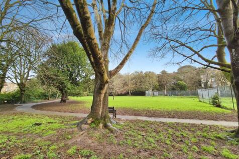 Park At Rear
