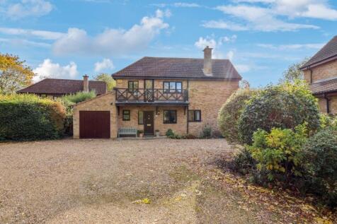 P1013243-376f4caf60014637e292a3a486b315ad - 800px.