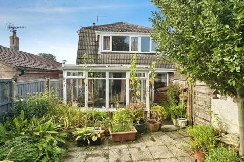 cfb76528-Rear 20N...