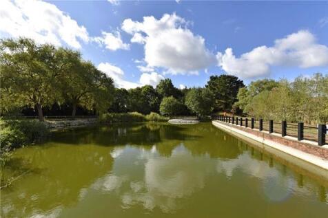 pond.jpg
