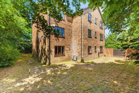 Building Rear