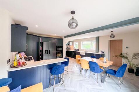 Kitchen / Living / Dining