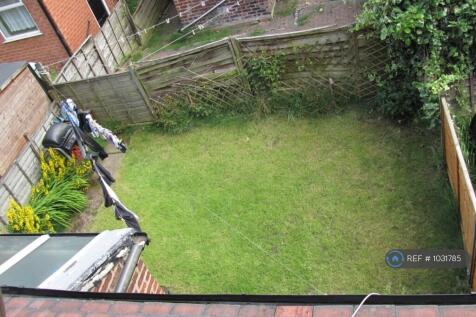 Back Garden