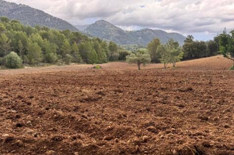 PHOTO-2025-05-07-20-