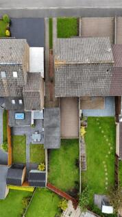 Plot View