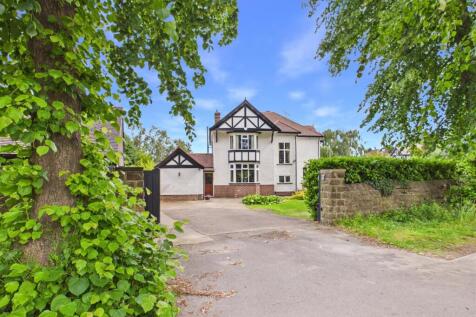 CAM05663G0-PR0200-STILL081.jpg