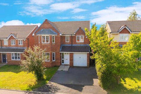 Untitled (5200 x 3900 px) (5200 x 3450 px) (5) (1)