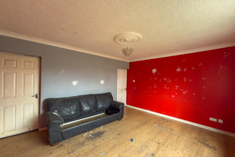 IMG 7429 T202511081225.jpg