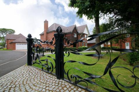 Property Image 39