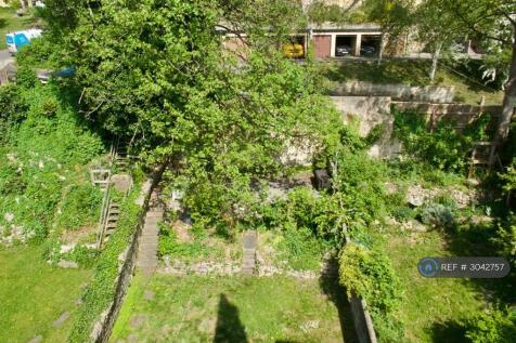 Leafy Green Outlook From The Bedroom Window