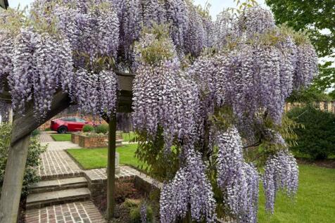 Seasonal Garden