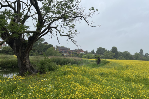 Land at Mancetter