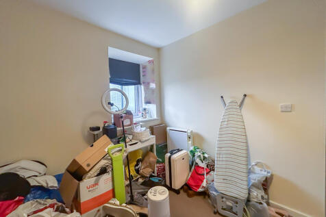 IMG 7115 T202510210947.jpg