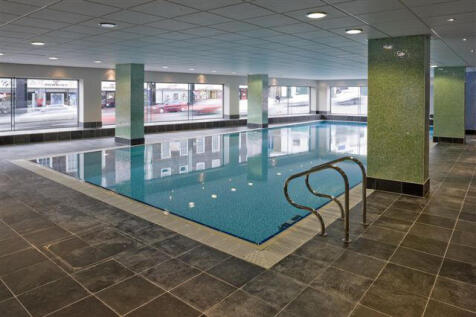 Litmus Pool T202605061554.jpg