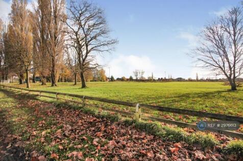 View Of The Park