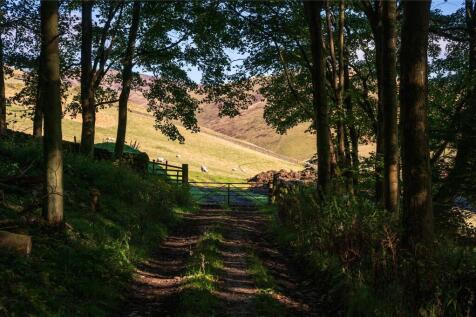 Woodland &amp; Grounds