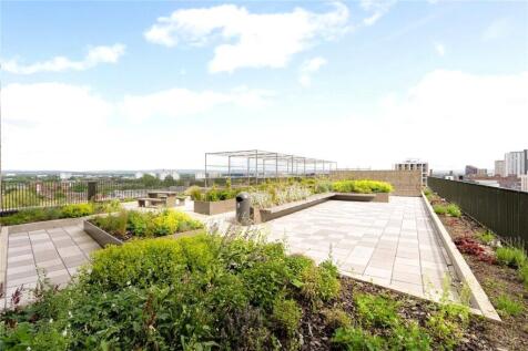 Rooftop Garden