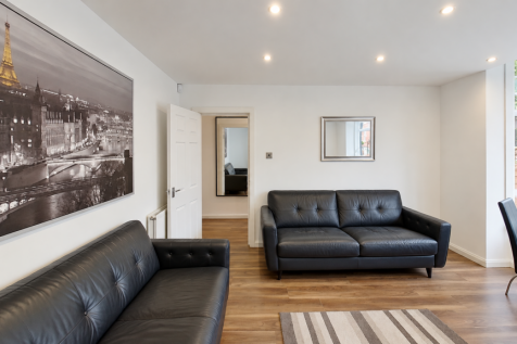 Bright Minimalist Living Room with Leather Sofas