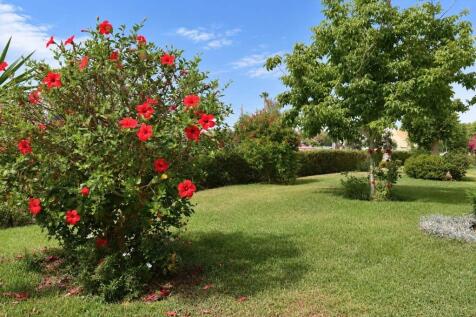 Communal Gardens 