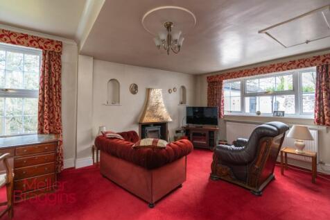 20250321-20250321-DSC07307 (2).jpg