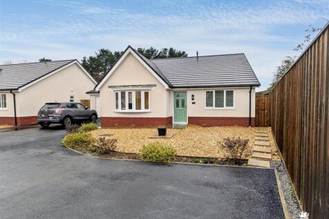 1000143924.jpg