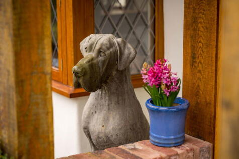 Property Image 37