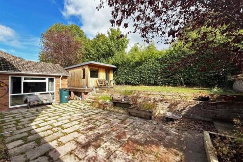 thumbnail_image1 (1).jpg