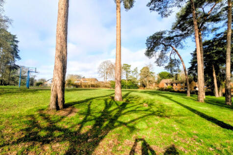 View of green space