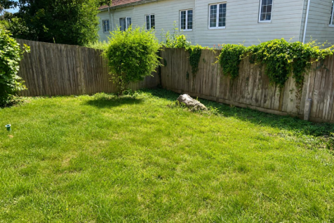 Garden &amp; Patio
