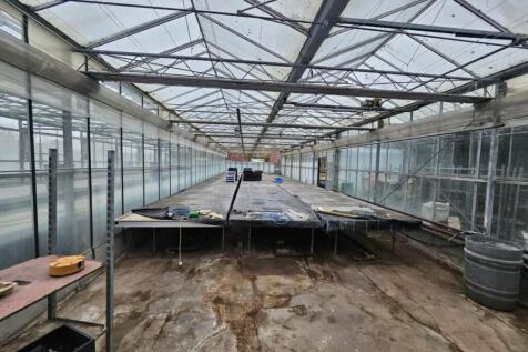 Marden Nurseries (10