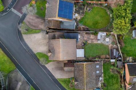 Plot View