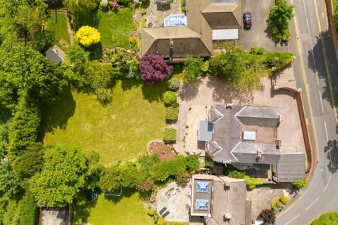 DJI_0249.jpg