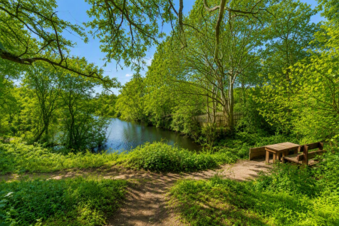 Woodland.png