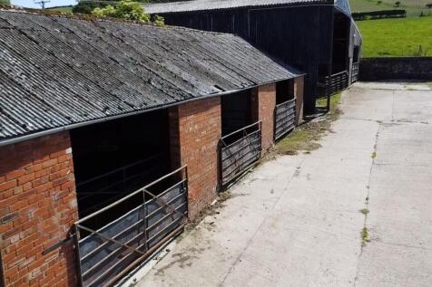 ADDITIONAL PHOTOGRAPH