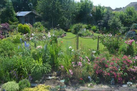 Garden - Summer 2025